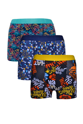 Berrak 4480 3'lü  Erkek Boxer Çok Renkli
