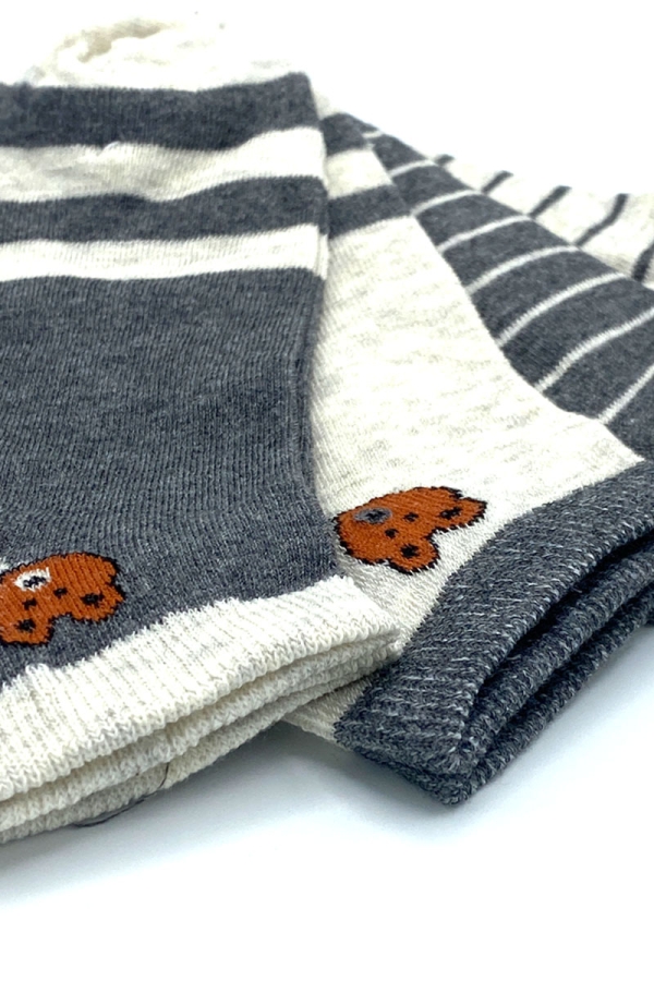 Çekmece 4&prime;Lü Soft Cotton Gri Ayı Desenli Unisex Patik - 4
