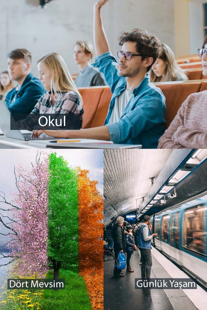 Dündar 6'lı Modal  Erkek Çocuk Çorap Çok Renkli - 7
