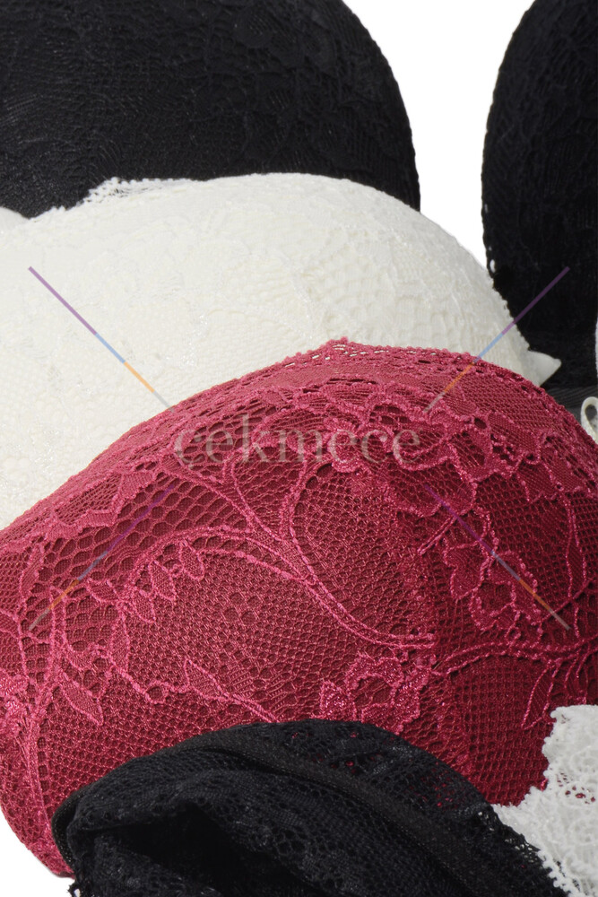 Nbb 4618 Dantel  Detayli Kaplı Sütyen Takım Ekru - 2
