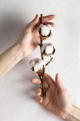 Organik İç Giyim Ürünleri Nedir?